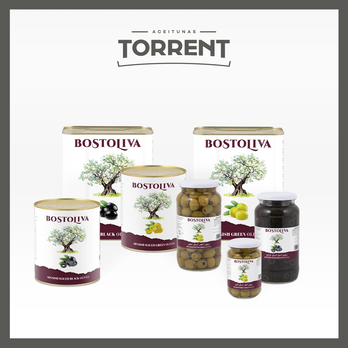 AceitunaTorrent's tweet photo. Esta #MarcaTorrent es una oda al olivo. Bostoliva significa bosque de olivos, como los paisajes que abundan en nuestra Andalucía y nos acompañan en nuestros viajes. Viajes de los cuales toman el testigo las aceitunas Torrent y llegando a hogares de todo el mundo.
#Bostoliva https://t.co/Q8SyvygoVq