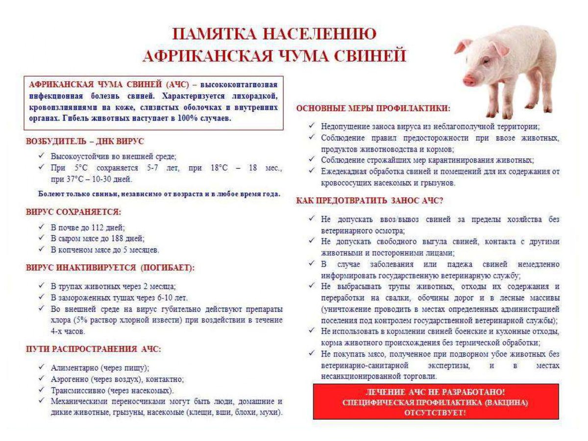 Администрация сп Домашка (@9le4gnpbkji1a1j) on Twitter photo 