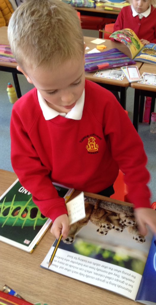 TudhoeColliery's tweet photo. Year 2 loved exploring nonfiction books, looking for interesting facts to share with the class. They also managed to spot some words that fit this week's spelling pattern too 👍📚🤗 #TCPLovesReading https://t.co/ESCYuNDo4O