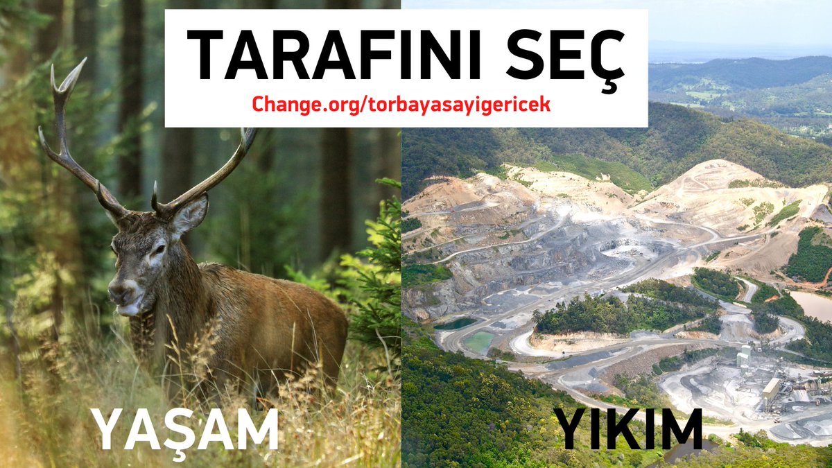 BugdayDernegi's tweet photo. Doğayı tehdit eden torba yasa yarın TBMM'de görüşülüyor!

Sayın milletvekilleri lütfen tarafınızı seçin:

-Yaşam mı?
-Yıkım mı?

#TorbaYasayıGeriÇek #Madde6yıGeriÇek

👉https://t.co/rvMQjX5b1Y https://t.co/OELImJUfYC