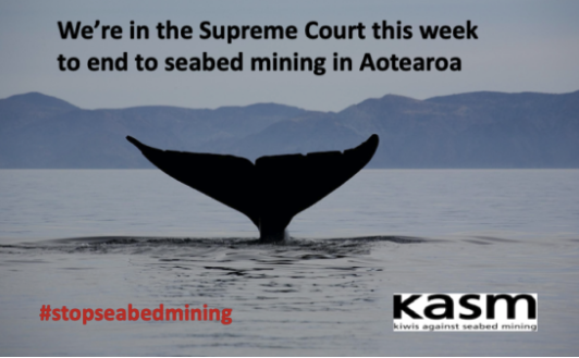 This week, Kiwis Against Seabed Mining, <a href="/GreenpeaceNZ/">Greenpeace Aotearoa</a> <a href="/Forest_and_Bird/">Forest & Bird</a>, Te Rūnanga o Ngāti Ruanui, Te Kaahui Rauru, the Taranaki-Whanganui Conservation Board, <a href="/TeOhuKaimoana/">Te Ohu Kaimoana</a> &amp; the DSCC will be in NZ's Supreme Court defending the South Taranaki Bight from #SeabedMining. 📸KASM
