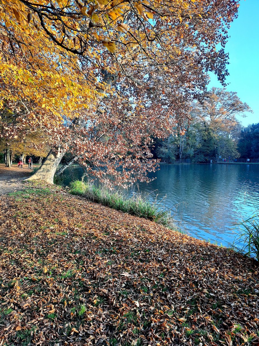 danpel30's tweet photo. #wallking #lake #freetime https://t.co/gZw1JRzmnZ