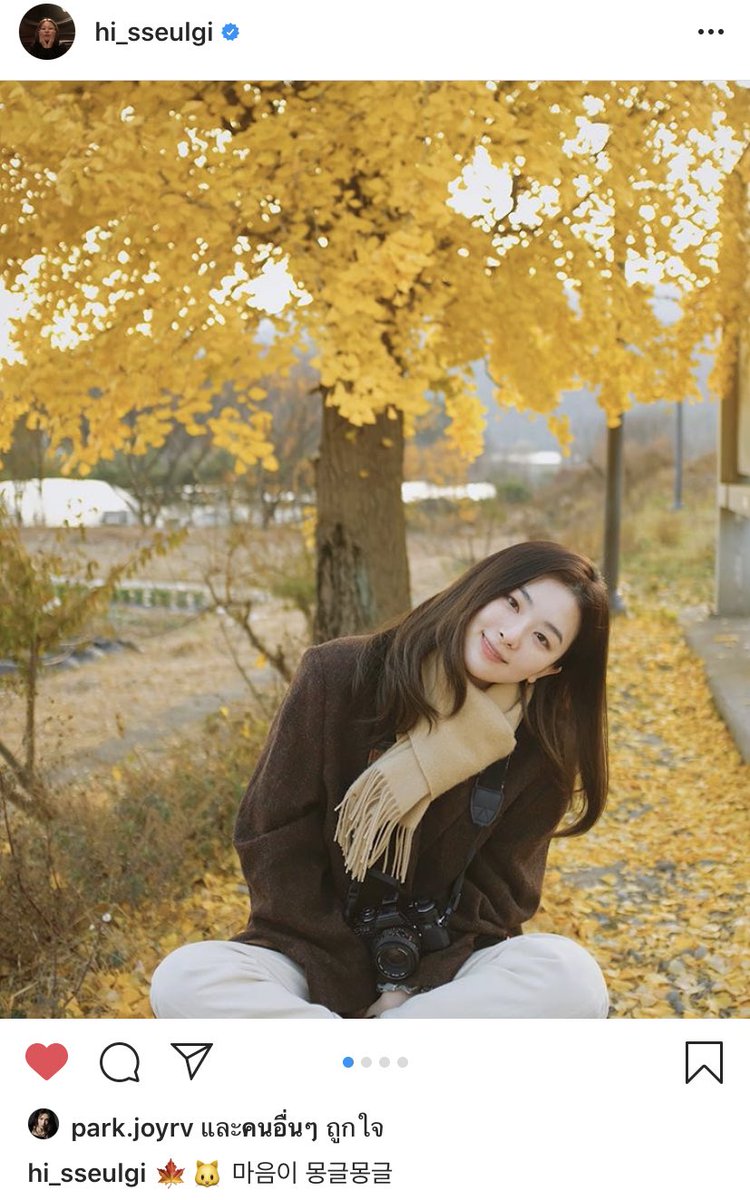 ninnie5555's tweet photo. น่ารักจังเลยยยยยย 🌼🐈🐱💛 https://t.co/3KYZ1pEb2e