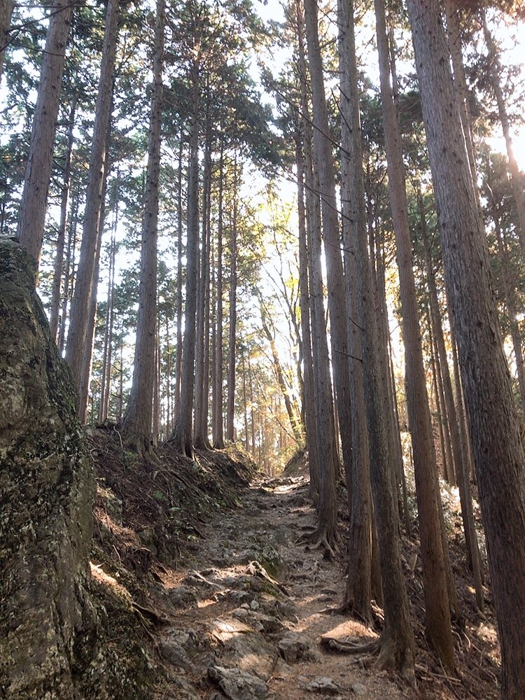 funrunruirm's tweet photo. ありがとうが止まらない🍁
鬼幸せなトレッキングでした。 https://t.co/EQegOZhE6q