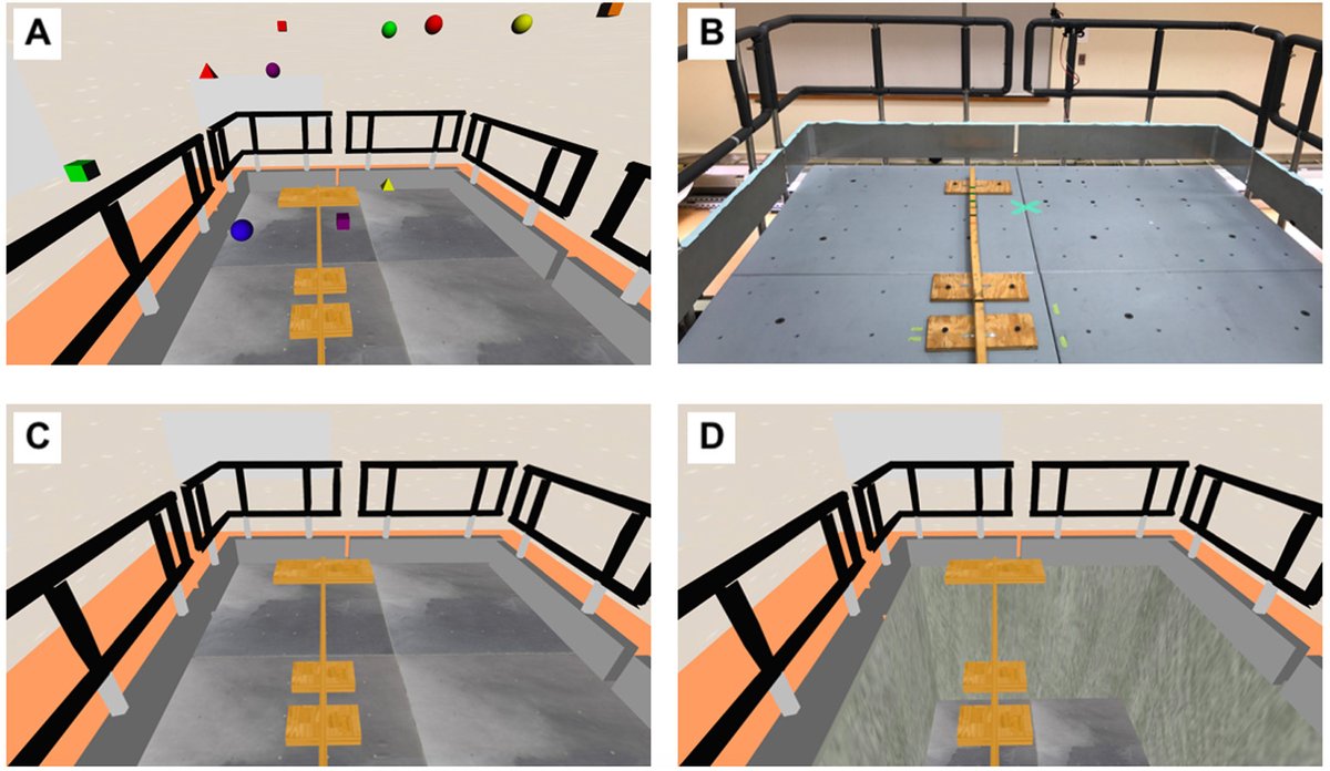 simbl_to's tweet photo. New paper from @iamamirtehrani looking at the effects of a virtual height on beam walking performance: https://t.co/0SlXPLuD1E (free access for 50 days!) https://t.co/GvZzvHYilC