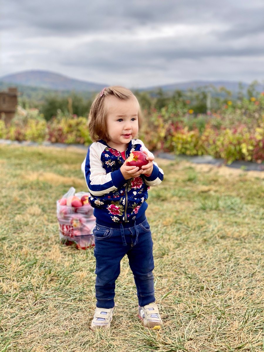 usapples's tweet photo. These 2 cuties are the grandkids of the School Nutrition Ftd's Dana Clerkin, taken while apple picking. SNF is the ftd of #apples4ed partner @SchoolLunch & recipient of this year’s Apples4Ed funding, which provided emergency food &support for children impacted by #COVID19 . https://t.co/p85vfin71L