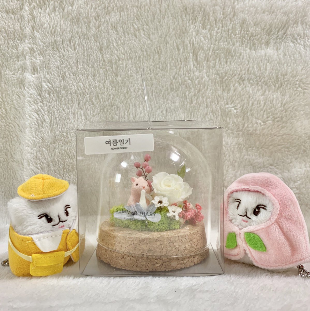 완전 대박 늦은 후기,,
이벤트 당첨돼서 받은 플라워돔 너무 예뻐서 방에서 제일 잘보이는 곳에 전시해뒀어요💘 (방은 차마 보여드릴 수 없..)
실물이 훨~~~~~~씬 이쁜데 사진을 넘 못찍어서 너무 아쉽 ㅠㅠ 너무귀엽구예뻐용,,❤️❤️
이벤트 한번더 감사합니다☺️ <a href="/SDiary_flower/">여름일기 플라워🌸</a>