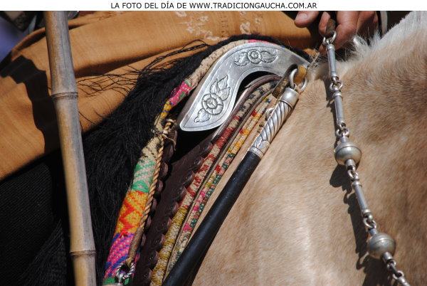tradiciongaucha's tweet photo. 📸 #FotoDelDia #Riendas #Lomillo #Tradición https://t.co/ZdlXYX9TX9