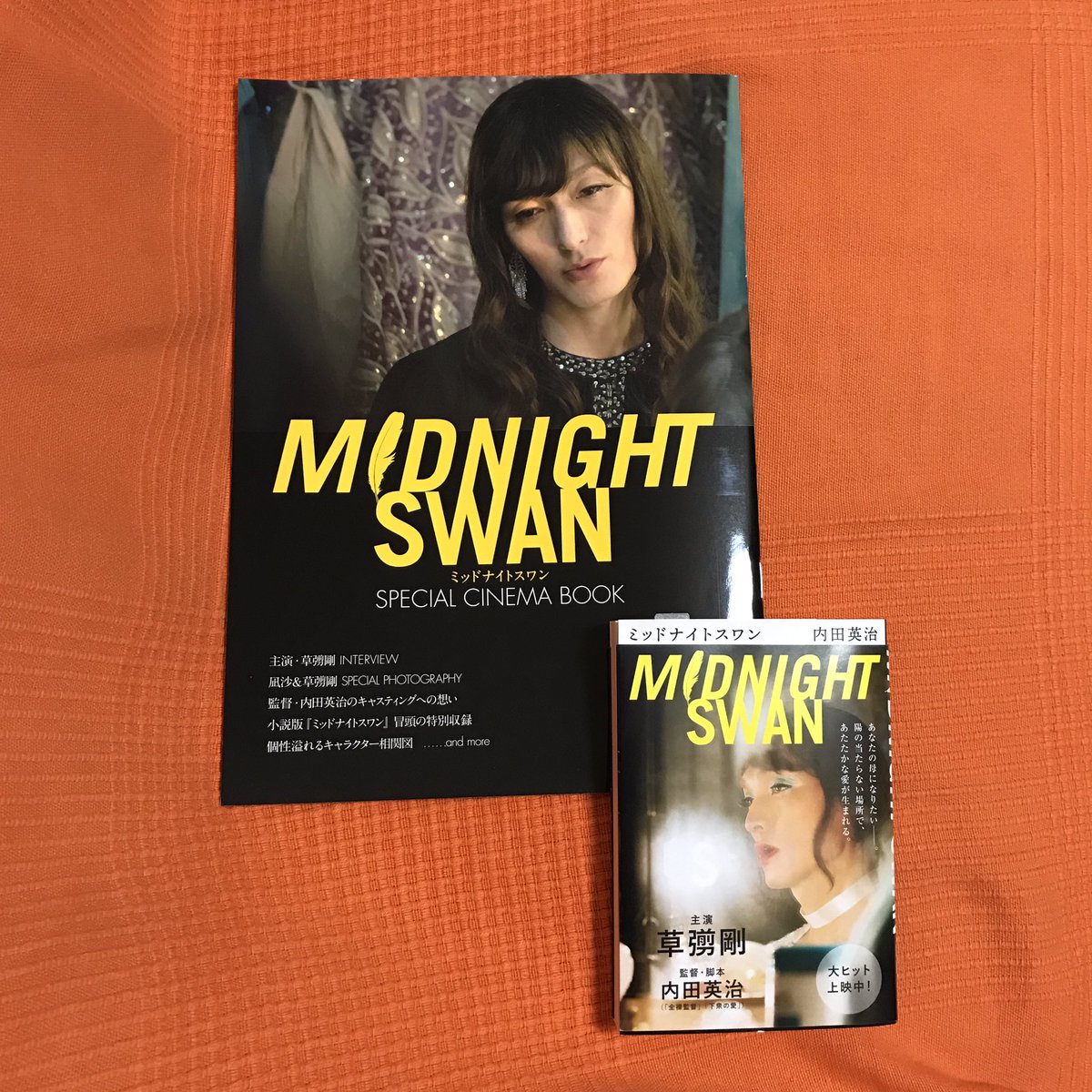 ゆず 最初デジタルパンフレットだけだったから諦めたけど 紙でも売り出したので購入 劇場で販売して欲しかったな 映画館に少しでも多くお金を落としたい者としては 販路が通販のみというのは残念 折角たくさんの方が観に来てる作品なのに勿体ない