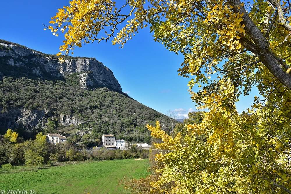 MelvinD_Photos's tweet photo. Viaduc #Cévennes #cevennestourisme #Gard #Gardtourisme #LanguedocRoussillon #Occitanie #tourismeOccitanie #magnifiqueFrance #francemylove #montagne #paysage #photo #photographie #photography #photodujour #imageofday #photoofday #nikon #nikonphotos #nikonpassion #nature #automne https://t.co/EIZGCryXnB
