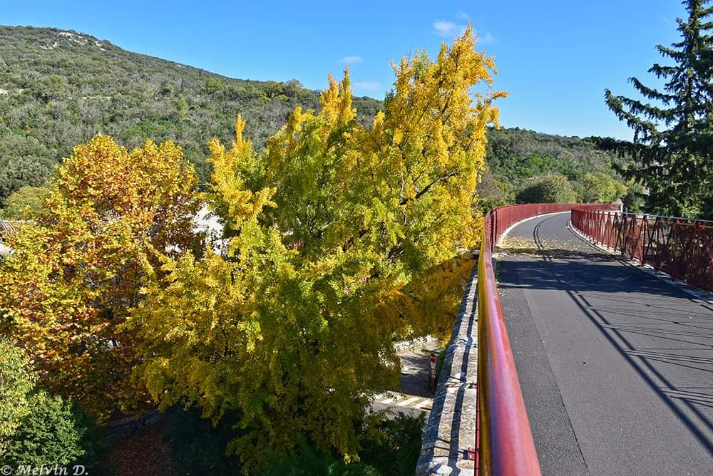 MelvinD_Photos's tweet photo. Viaduc #Cévennes #cevennestourisme #Gard #Gardtourisme #LanguedocRoussillon #Occitanie #tourismeOccitanie #magnifiqueFrance #francemylove #montagne #paysage #photo #photographie #photography #photodujour #imageofday #photoofday #nikon #nikonphotos #nikonpassion #nature #automne https://t.co/EIZGCryXnB
