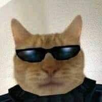 Em8eSQsXIAAO2ic?format=jpg&name=240x240