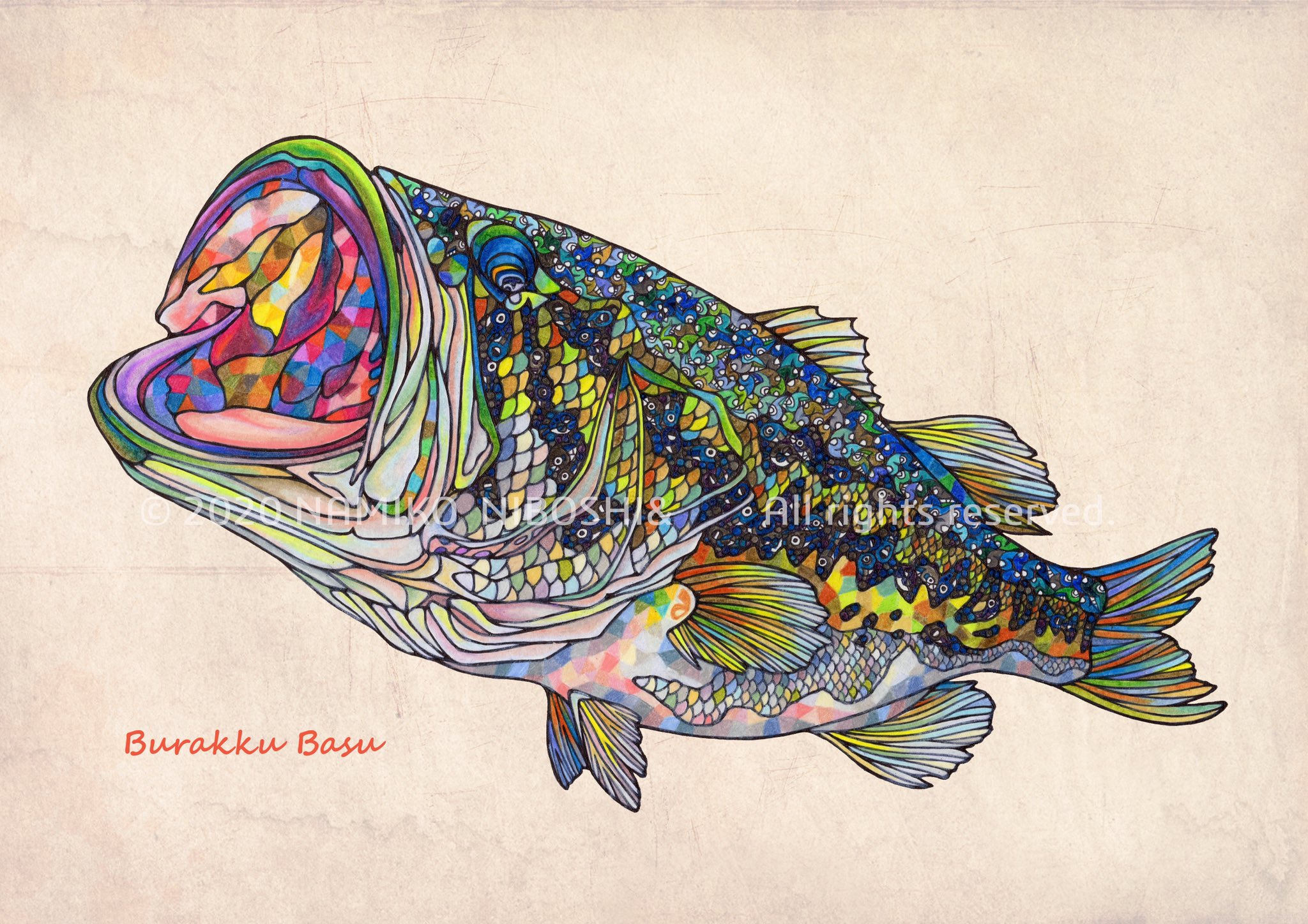 Twitter 上的 Namiko Niboshi イラスト図鑑 ブラックバス File2 イラスト 魚 ブラックバス T Co Ppj2grgfaj Twitter