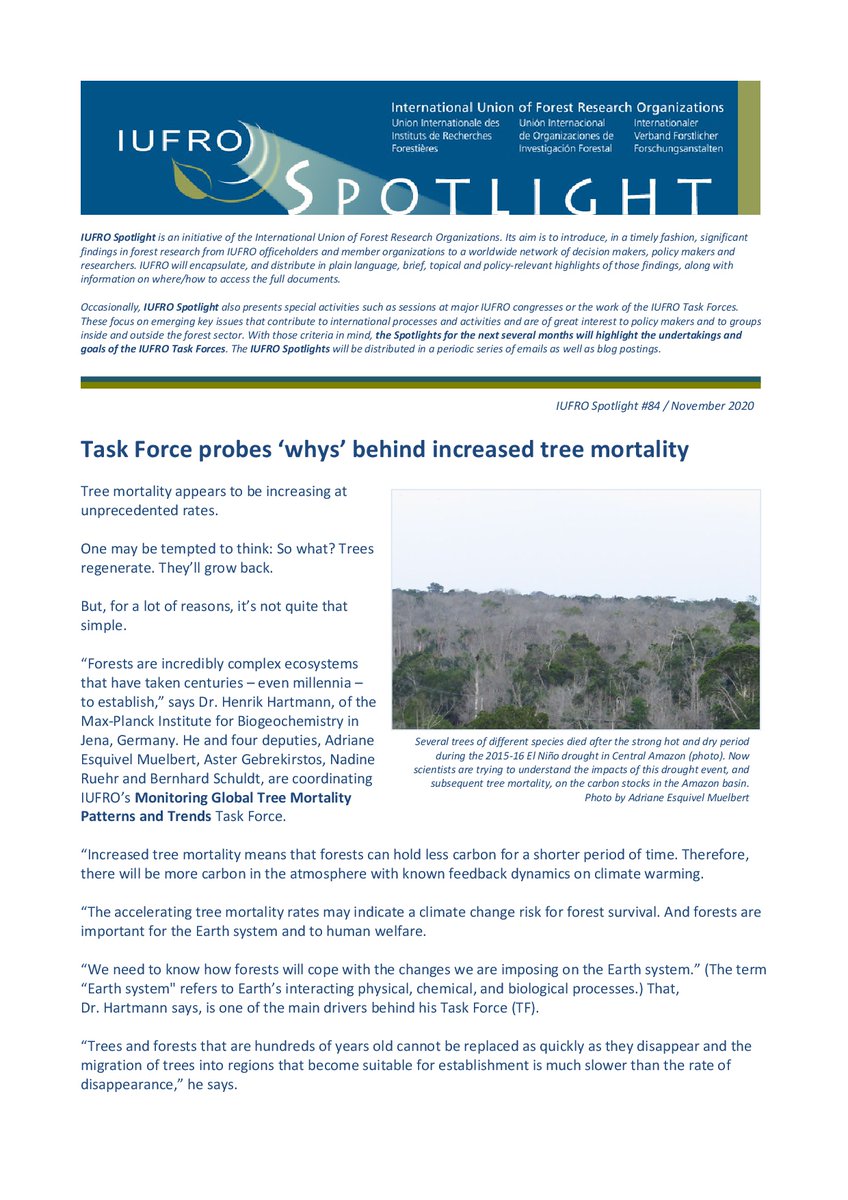 IUFRO's tweet image. 🌳🌲Tree mortality appears to be increasing at 📈unprecedented rates. One may be tempted to think: So what? Trees regenerate. They'll grow back.

But, for a lot of reasons, it's not quite that simple!

ℹ️Learn more in IUFRO Spotlight #84 - iufro.org/publications/i…