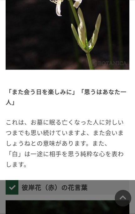鶴のtwitterイラスト検索結果