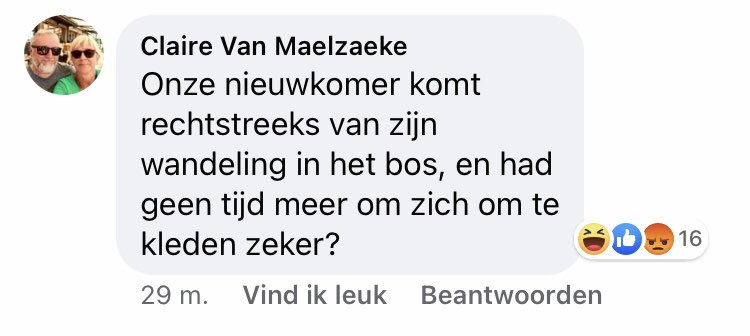 Jarne Mertens tweet media