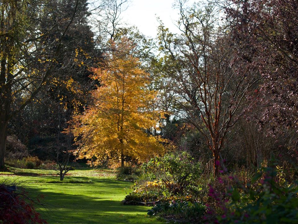 A new week and our  #AtoZofLockdownColchester continues with G for Green Island Gardens. Located out at Ardleigh these beautiful grounds remain open for  #Lockdown2, but the tea room is closed. Photos by  @greenislandgdn https://visitcolchester.com/things-to-do/green-island-gardens-p1191021