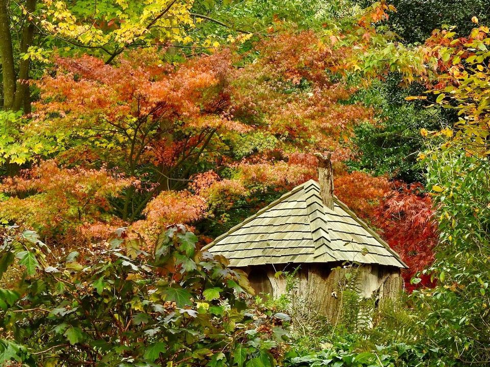 A new week and our  #AtoZofLockdownColchester continues with G for Green Island Gardens. Located out at Ardleigh these beautiful grounds remain open for  #Lockdown2, but the tea room is closed. Photos by  @greenislandgdn https://visitcolchester.com/things-to-do/green-island-gardens-p1191021