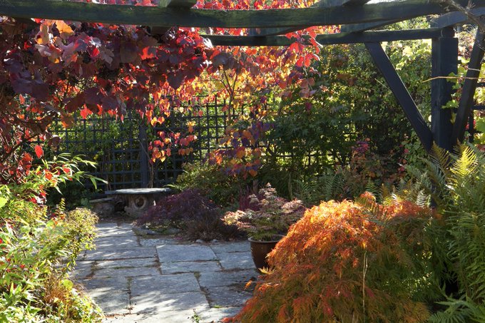 A new week and our  #AtoZofLockdownColchester continues with G for Green Island Gardens. Located out at Ardleigh these beautiful grounds remain open for  #Lockdown2, but the tea room is closed. Photos by  @greenislandgdn https://visitcolchester.com/things-to-do/green-island-gardens-p1191021