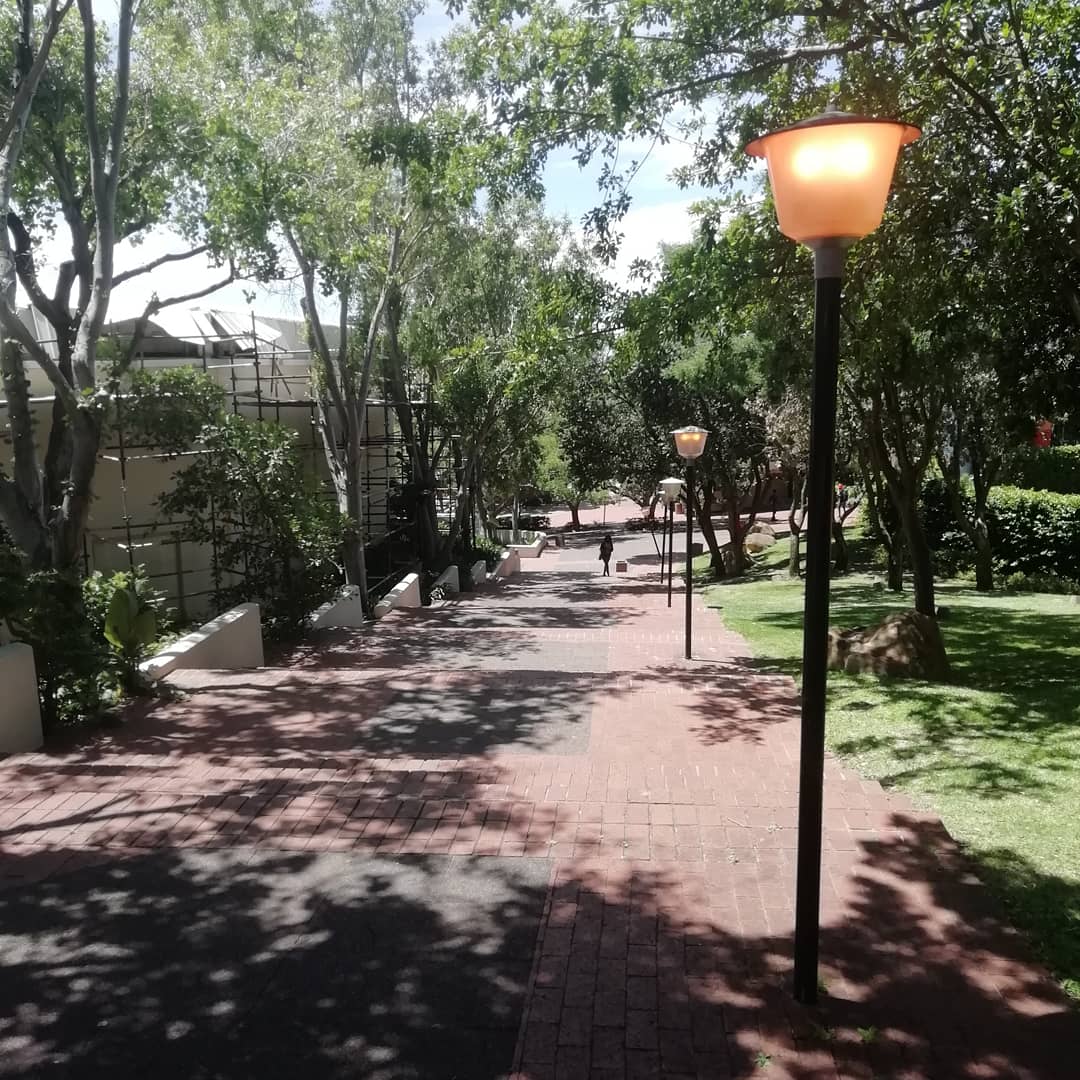 amylew_official's tweet photo. ๐ณ๐๐ฟ๐ผ๐ฆ
.
.
#capetown #southafrica #naturephotography #naturelovers #nature_photo #naturelover #photooftheday #photographylovers #natureblogger #natureconservation #conservationcourse #cput #cputnatureconservation #student https://t.co/SDUEIHZmro