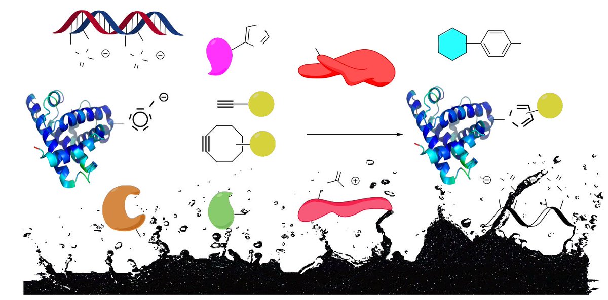 DBSC_IP's tweet photo. Tomorrow, it will be our pleasure to have Frederic Taran @CEA_Jolito as the invited speaker of our department. He will present Chemoselective and biocompatible reactions: new tools for chemical biology.
Very much looking forward to his talk. https://t.co/ZBxclmhZyc