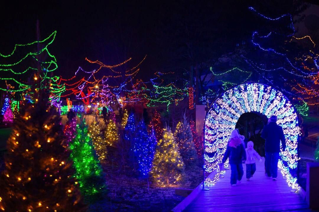 VisitIndiana's tweet photo. CONTEST 🚨: We have a four pack of tickets to give away for Christmas at the @IndianapolisZoo! 

RT this tweet for a chance to win! 😎

A winner will be chosen on 11/18. Watch out for other tweets throughout the day as each RT is an entry. https://t.co/UzDnJYPsB7