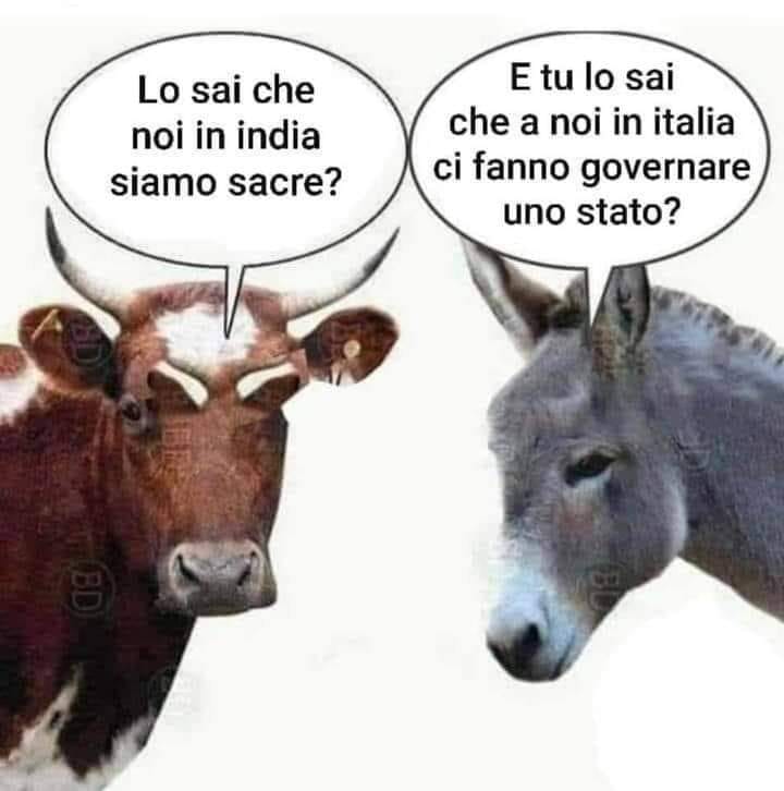FLAVIA39304024's tweet photo. @franco_sala https://t.co/0bvHSGSFi2