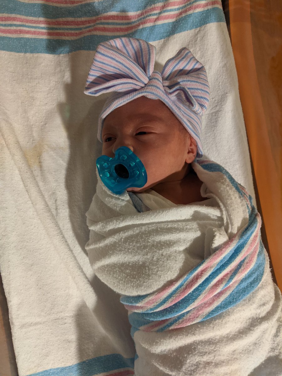 Courtney Tedesco tweet media