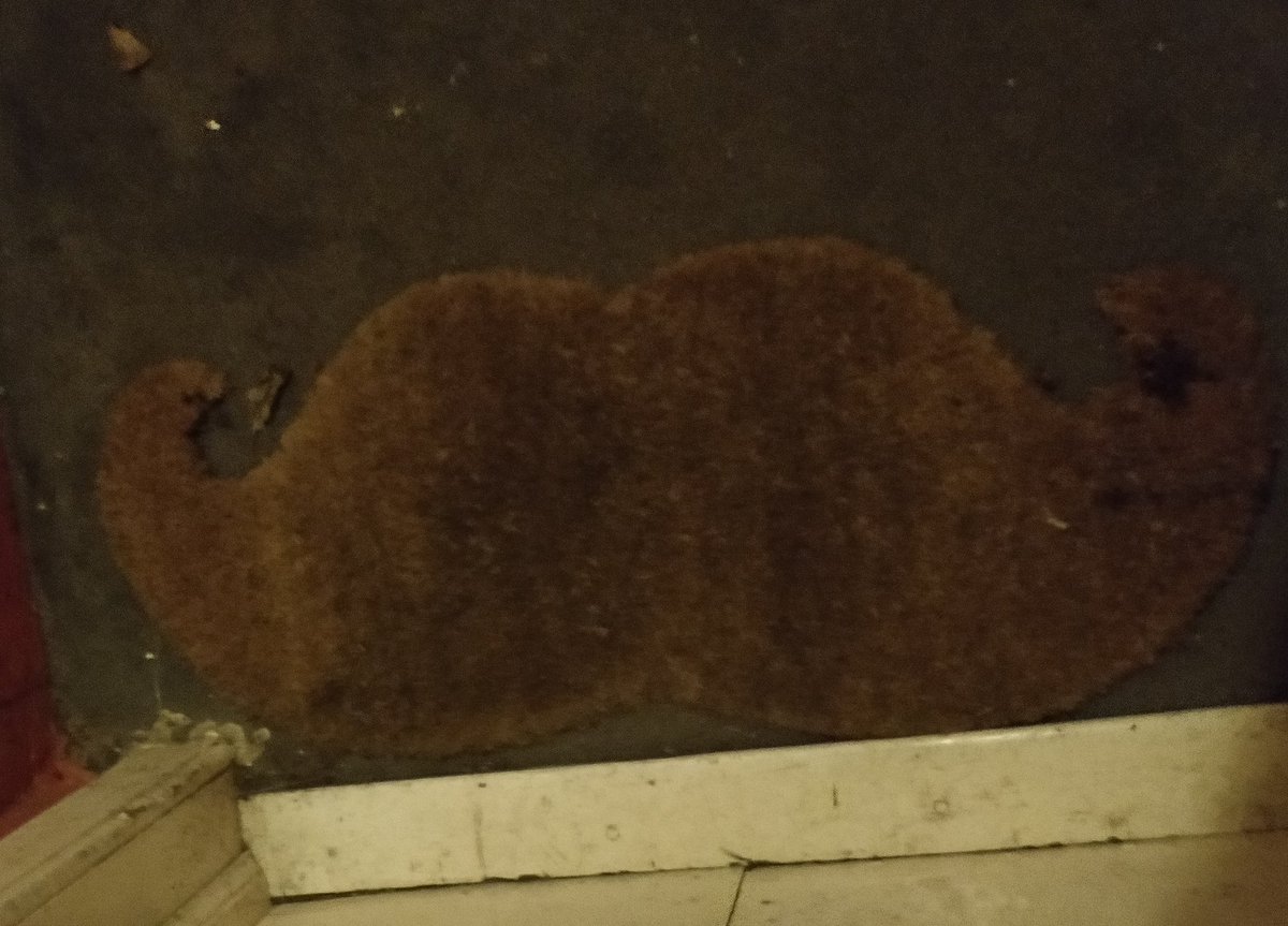 I have curated some of the most deranged doormats I've seen while delivering pizzas for the past few months