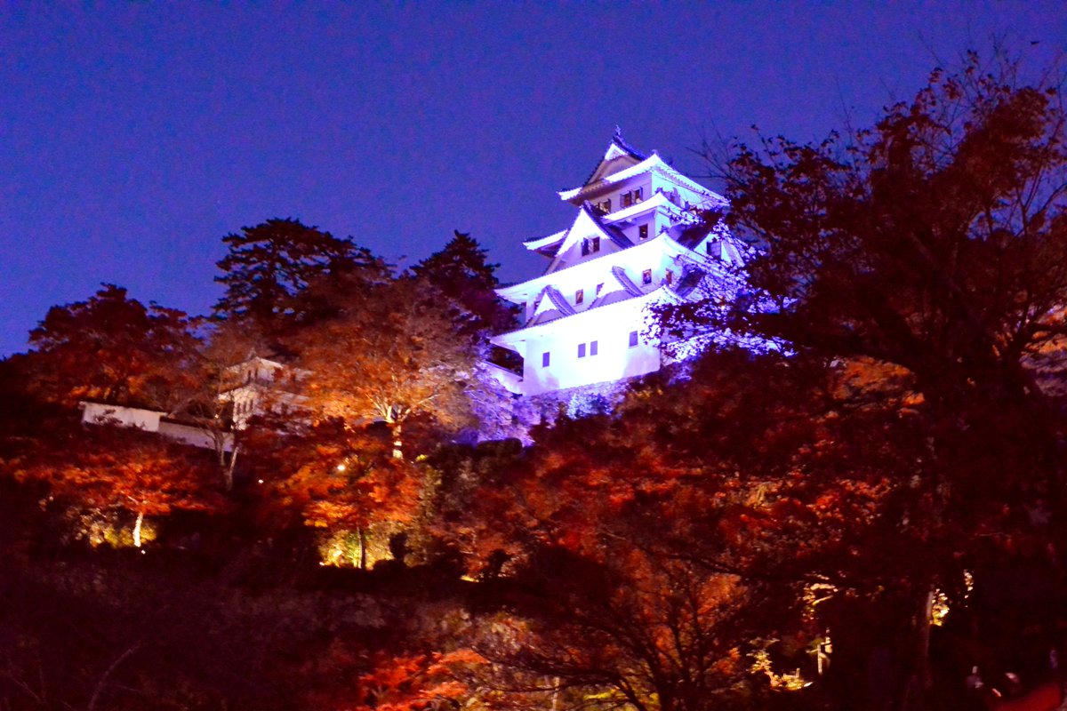 The autumn leaves of Gujo Hachiman were as if the castle was on fire!
郡上八幡の紅葉がまるで城が炎上しているかのような紅葉でした！

#Walk #WalkinginJapan #Travel  #Japan #autumn #Autumnleaves #GujoHachiman #fire