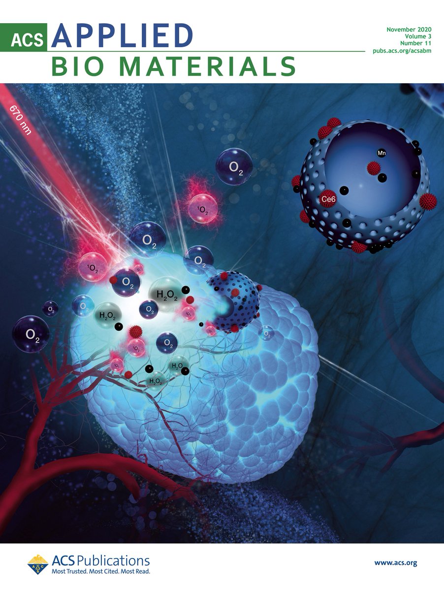 Excited to share that <a href="/MSUIQ/">IQ</a> Taeho Kim Lab’s  work on “Biodegradable Hollow Manganese Silicate Nanocomposites to Alleviate Tumor Hypoxia toward Enhanced Photodynamic Therapy” features on the cover of “ ACS Applied Bio Materials”.