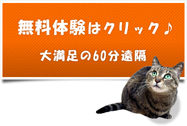 JapanHappySmile's tweet photo. お疲れの方、いかがですか～？？

↓ ↓ ↓
https://t.co/hR340PeNHp https://t.co/v5ytV5sM9a