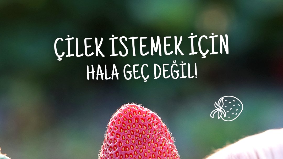 Canınız #çilek çektiyse henüz geç değil! Çilek Evi'ne gelin, yetiştirmeye devam ettiğimiz leziz ve #doğal çileklerimizi deneyin!