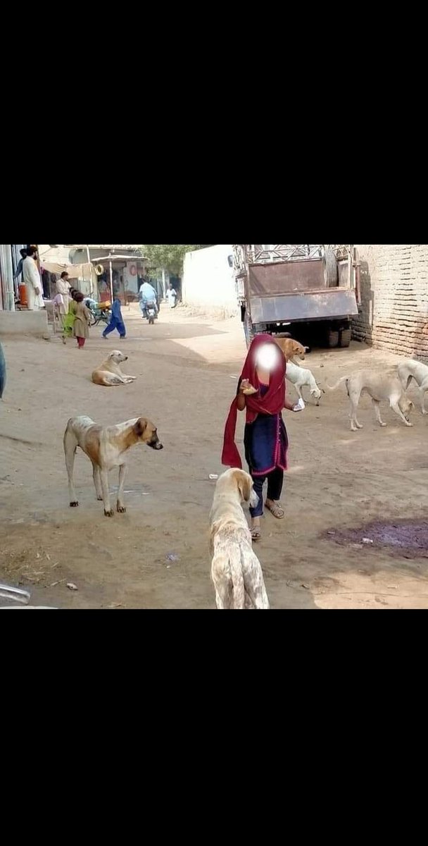 ھن تصوير ۾ ٻارڙي ڪُتن کان ڍڄي ھڪ ھنڌ بيھي رھي آھي پر ھي ڪتا پنھنجا سر جُھڪائي ٻارڙي کي چون ٿا تہ تون بي فڪر بي خوف ٿي ھتان گُذري وڃ اسان صرف ڪُتا آھيون اسان اُھي وحشي درندا صفت انسان ناھيون جن وحشتن جون حدون لتاڙي ڇڏيون آھن 🥀❤️