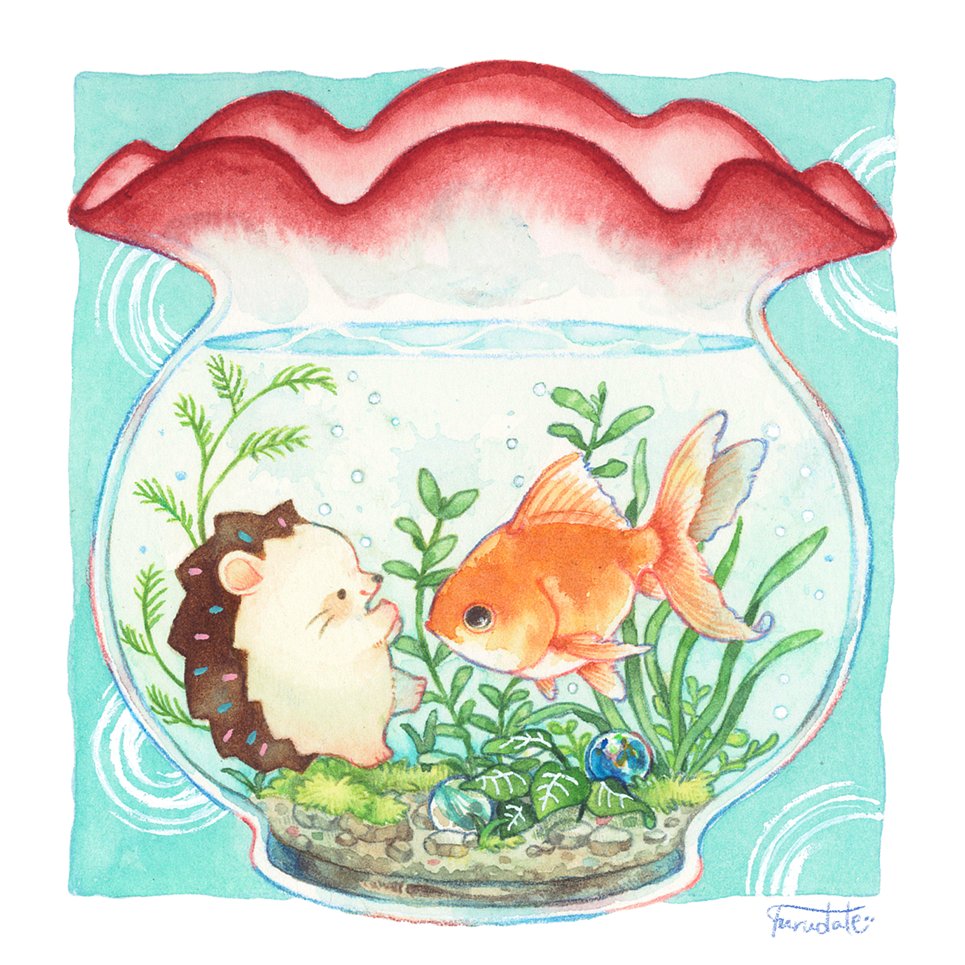 fish no humans animal animal focus traditional media bubble painting (medium)  illustration images