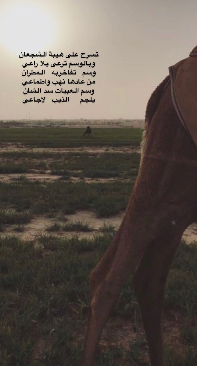 abn3shwan's tweet photo. #العبيات https://t.co/DbeNlNFBBE
