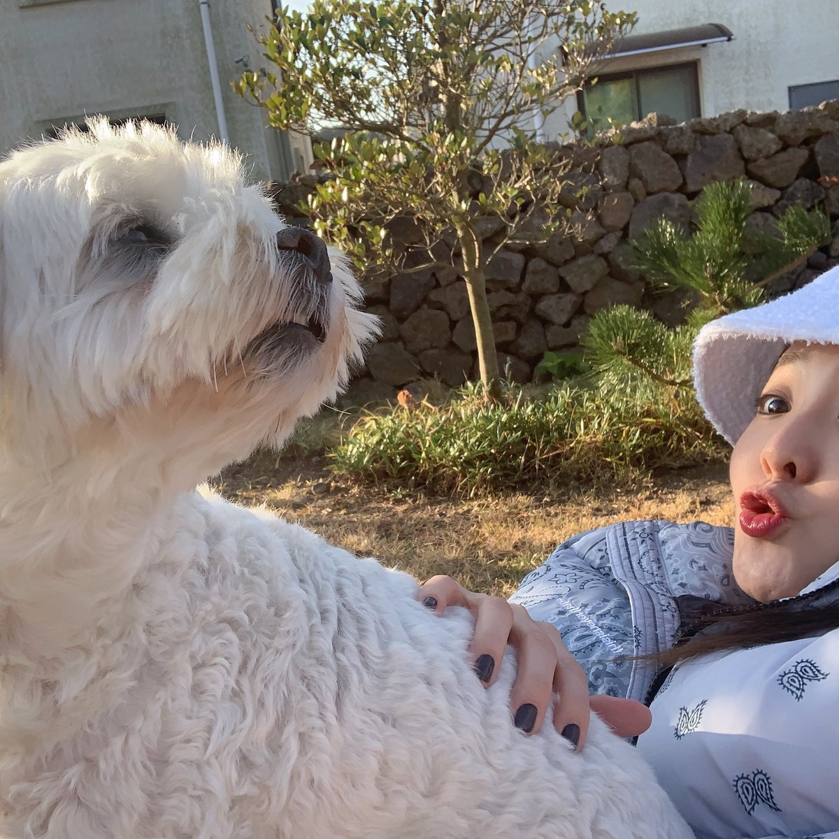 krungy21's tweet image. 사랑하는 사람들과 아름다운 자연과 맛있는 음식과 함께했던 행복했던 순간..😁💘🎊🎉🎂🙏🏻 넘나 이쁜 마당&amp;amp;캠핑 무료협찬 by 제아언니😍 감자합니다이앙~ 사랑합니다이앙~ #bdayweek #2020 #🎂 #memorymonday