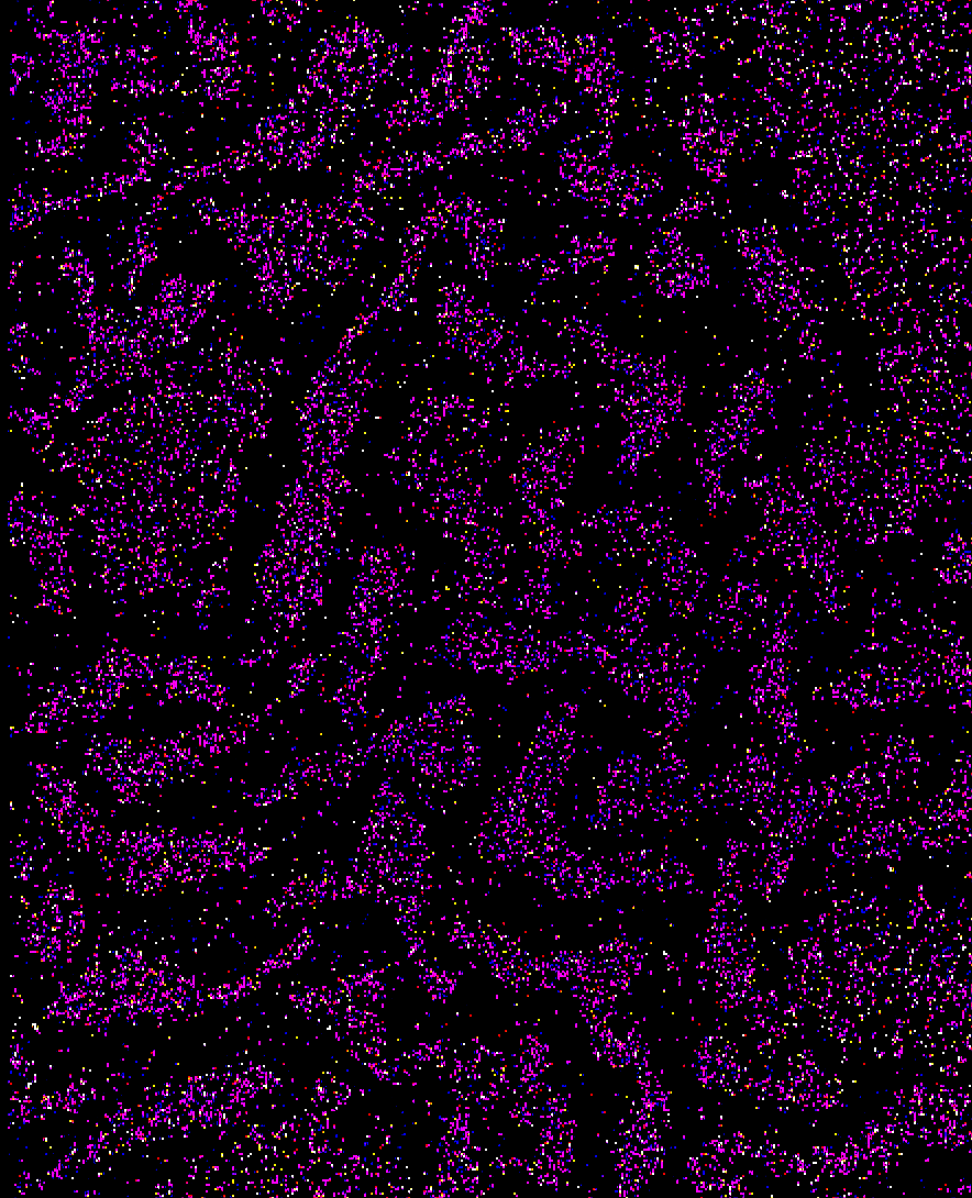 GKiriako's tweet photo. Patterns resembling the cerebral cortex during a DNA Paint experiment. https://t.co/mysEU4Z9m4