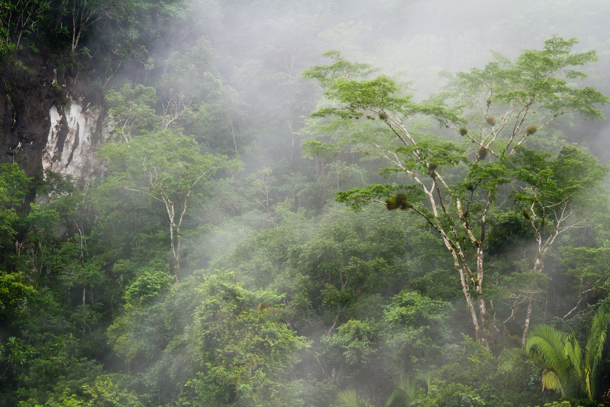 Good Morning #Belize!