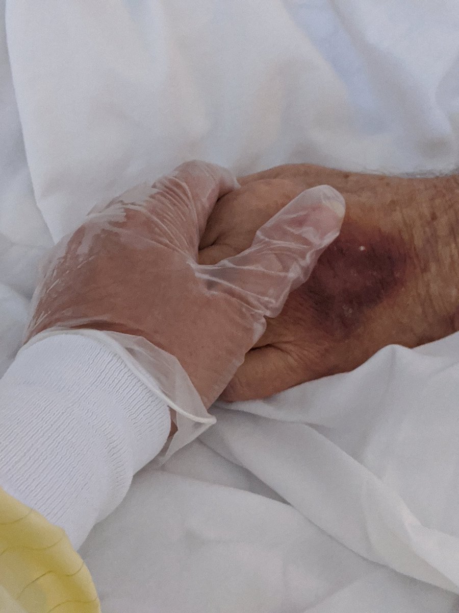 Darcie Seachrist, Ph.D. tweet media