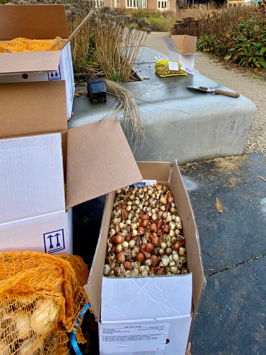 Het voorjaar begint in de #herfst! 🌿Op dit moment worden in de #museumtuin van <a href="/SingerLaren/">Singer Laren</a> namelijk de meest uiteenlopende #bloembollen geplant.