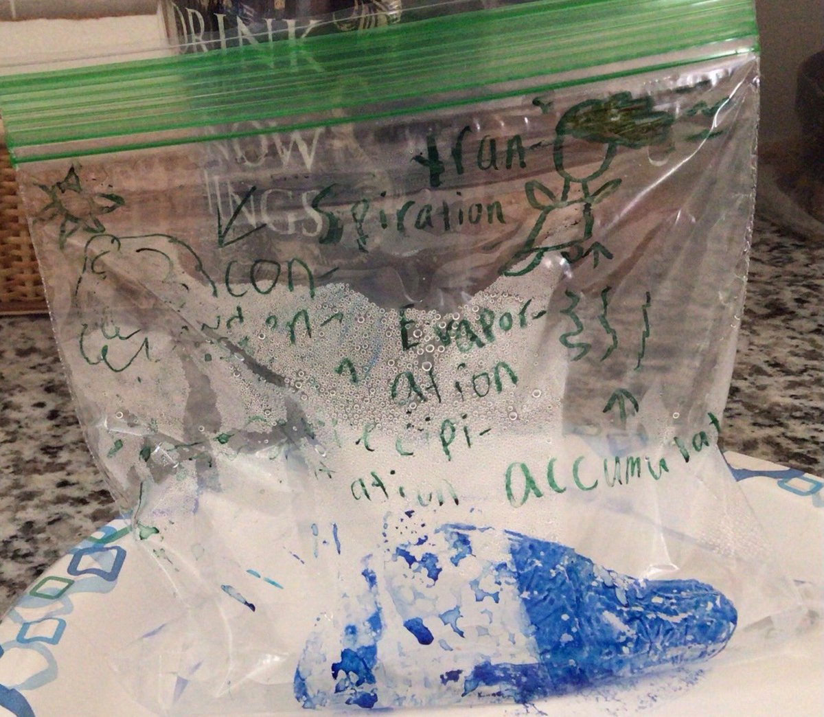 Laura Cropper tweet media