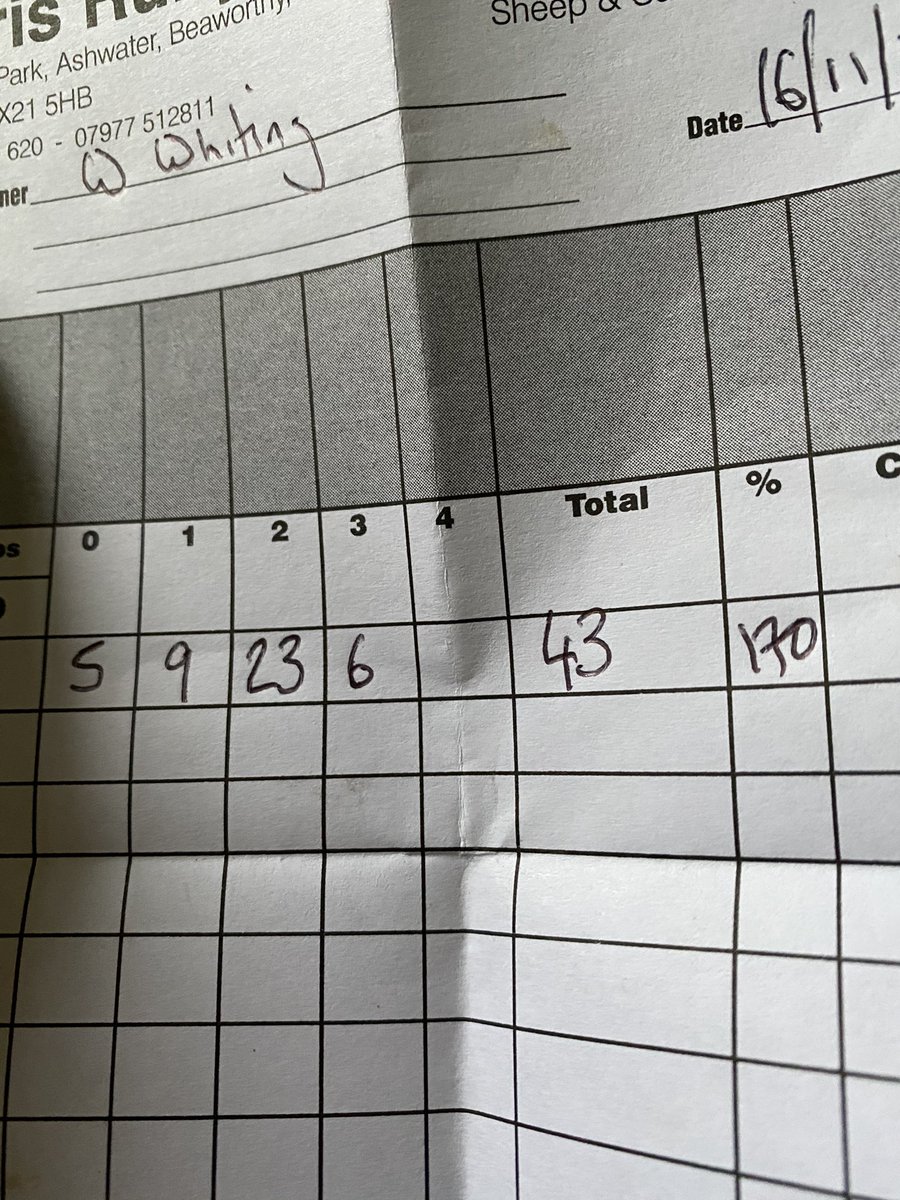 will__whiting's tweet image. Scanned the charollais’s, roll on lambing 2021 @charollaissheep