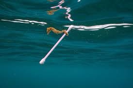 ACLEAPS's tweet photo. Let this image be the reason you switch.... or stop composting your paper sticks.... https://t.co/L3AfBE16Ez