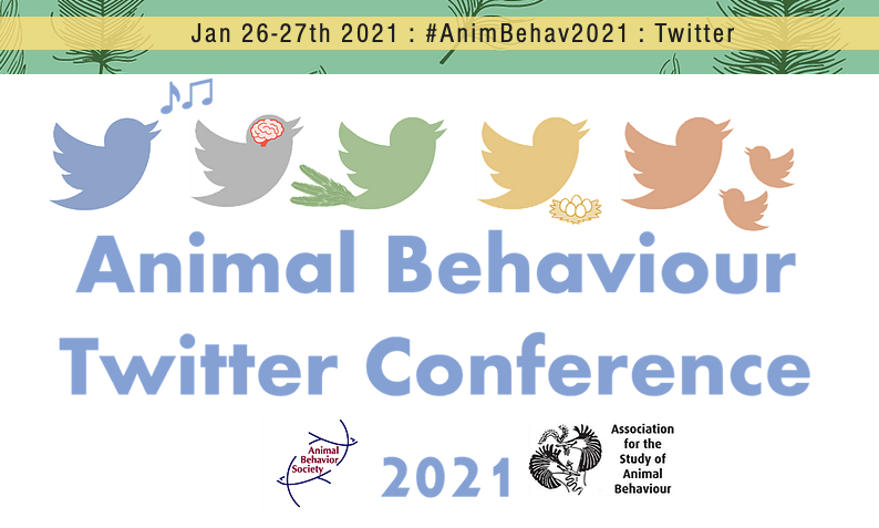Animal Behavior Society on Twitter: 
