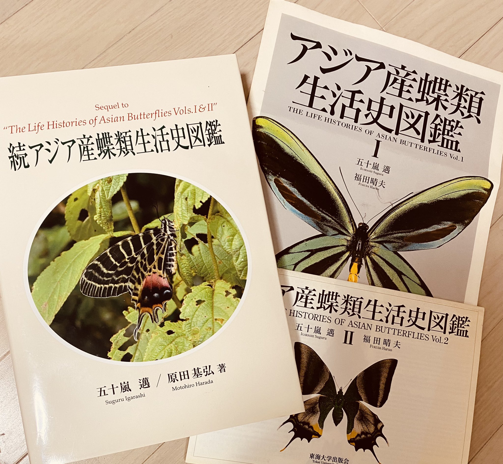 アジア産蝶類生活史図鑑(１)／五十嵐邁(著者),福田晴夫(著者) アジア産蝶類生活史図鑑