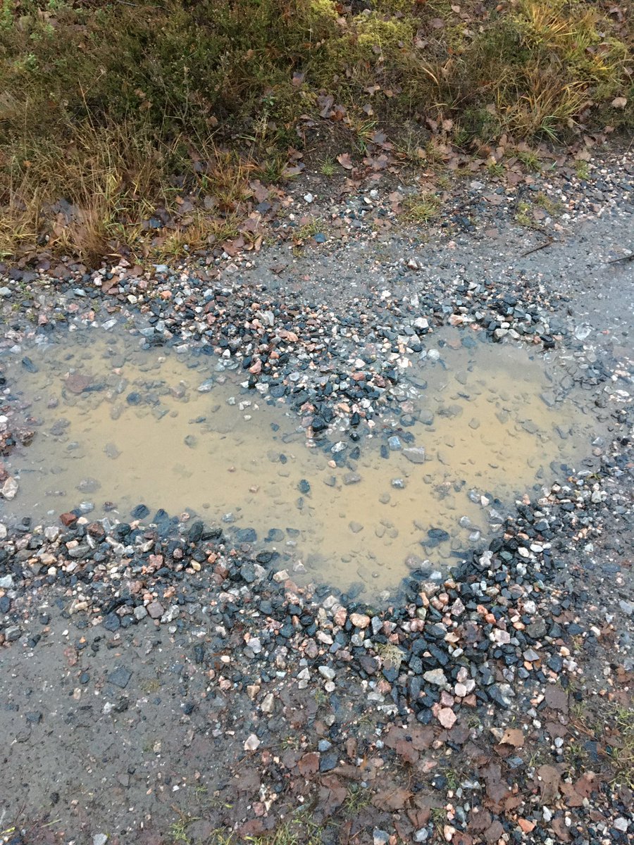 Ihanaa viikon alkua ☀️ terveisiä Kemiönsaaren metsistä missä vietetään työkavereiden kanssa hyvinvointi-iltapäivää 💛 #Nordea #työhyvinvointi #parastyöpaikka