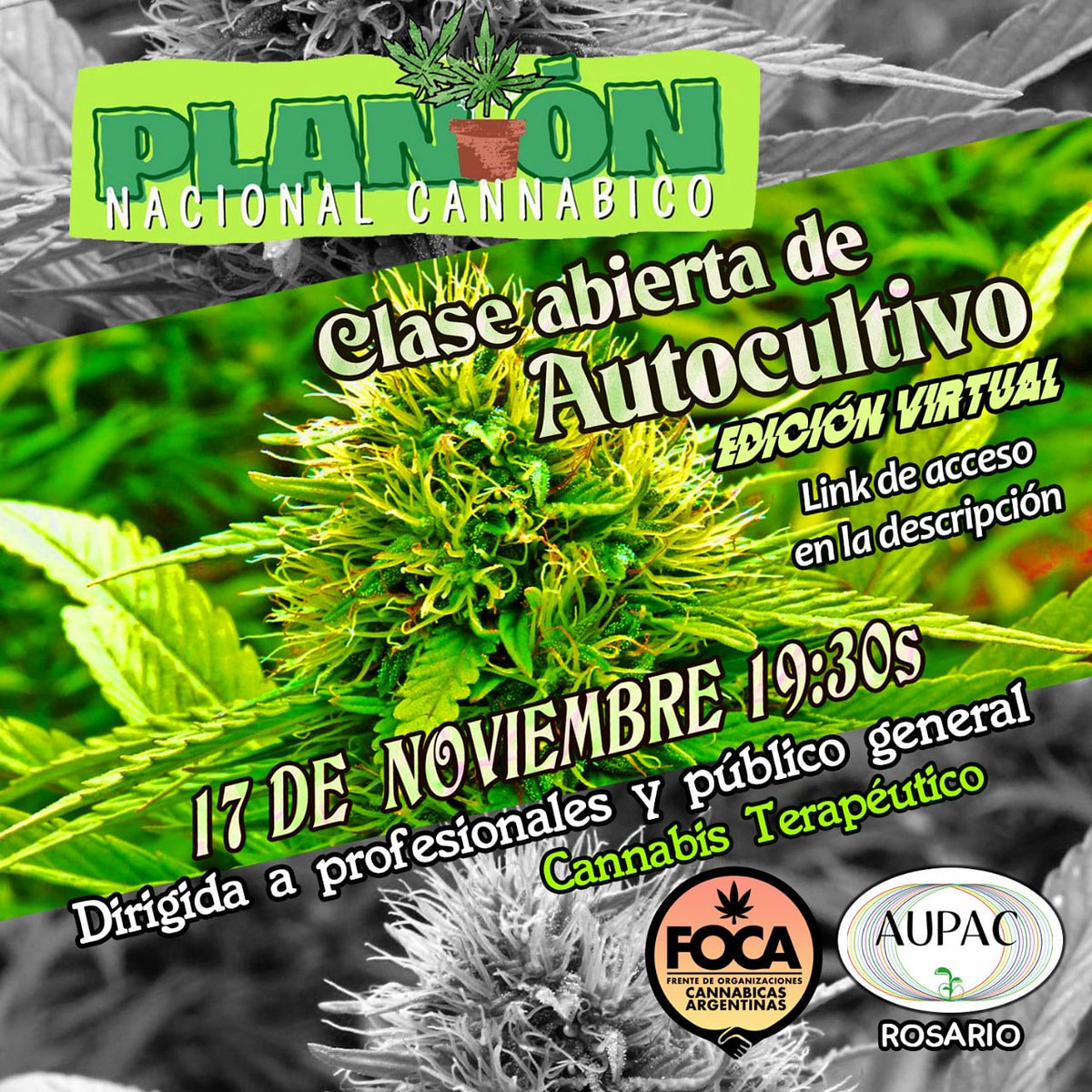 🌱Clase Abierta de Autocultivo🌱
📣 En el marco de la Semana de la Cannabis y el Plantón Nacional Cannábico, el próximo Martes 17 de Noviembre a las 19:30hs nos encontramos vía GoogleMeet en una Clase Abierta dónde brindaremos información y aclararemos dudas sobre #Autocultivo