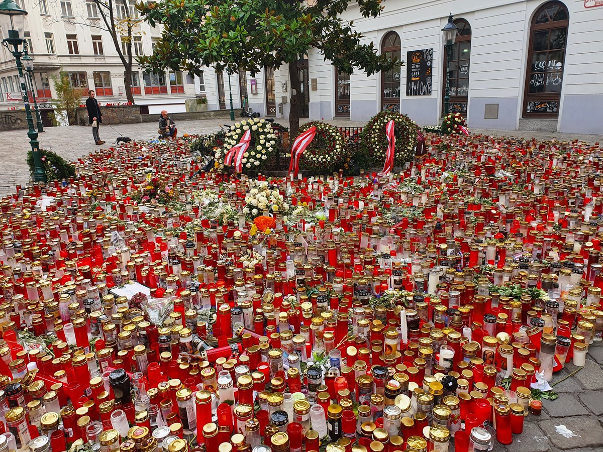 VeraMarjanovic's tweet image. Tema TERORIZAM - sa mesta terorističkog napada u Beču, za Dnevnik TSDa (Televizija srpske dijaspore). #Potresno