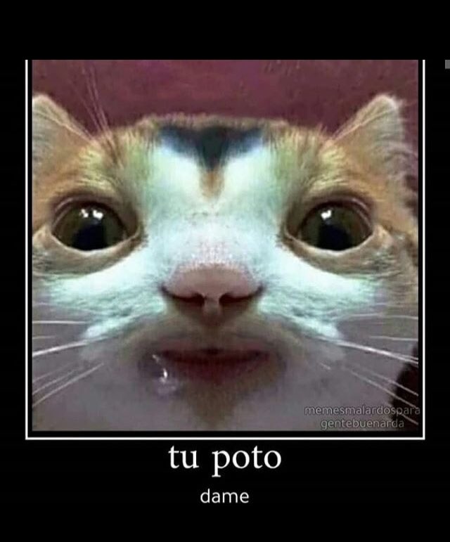 elpoiof's tweet photo. @IbaiLlanos dame solo cómo pan https://t.co/iNvoCbLsla